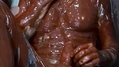trashed-in-thick-chocolate_22.jpg