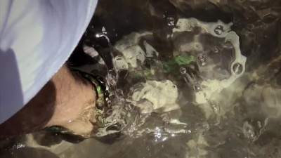 wet-in-public-fountain-and-muddy-sneaker